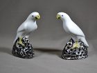 Parakeets couple in chinese porcelain.Qing period.