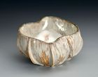 An “Ammonite” Guinomi (Sake Cup) by Hiramatsu Ryoma