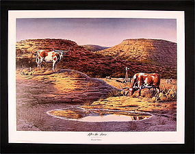 Limited Edition Print by Dennis Schmidt, After the Rain