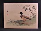 Beautiful Original Chinese Painting on Silk Duck signed by artist