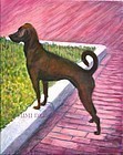 Signed Pet Portrait Painting of a Rescue Shelter Dog "Sophie Baby"