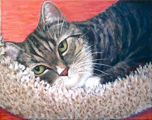 American Signed Mimi Dee Portrait Painting: Pooka Shelter Tabby Cat