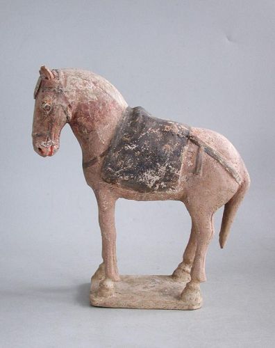 Chinese Early Tang DynastyPottery Horse / Pony with Oxford TL Test