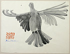 Ben Shahn watercolor painting - Dove