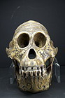 Important & Rare Orang-Outang Adorned Skull, Dayak Peoples
