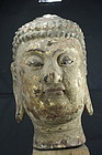 Statue Head of Buddha, China, 18th C.