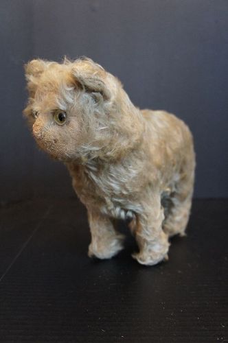 Antique life size mohair cat with glass eyes