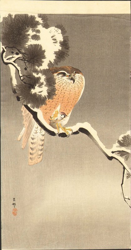 Ohara Koson Japanese Woodblock Print - Goshawk SOLD