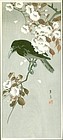 Hotei Japanese Woodblock Print - Crow on Blossoming Cherry SOLD
