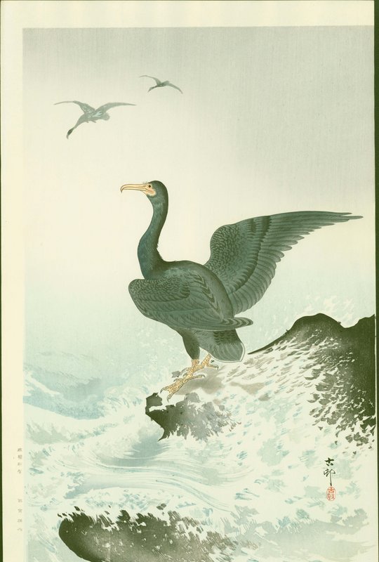 Ohara Koson Japanese Woodblock Print - Cormorants at Coast RARE SOLD