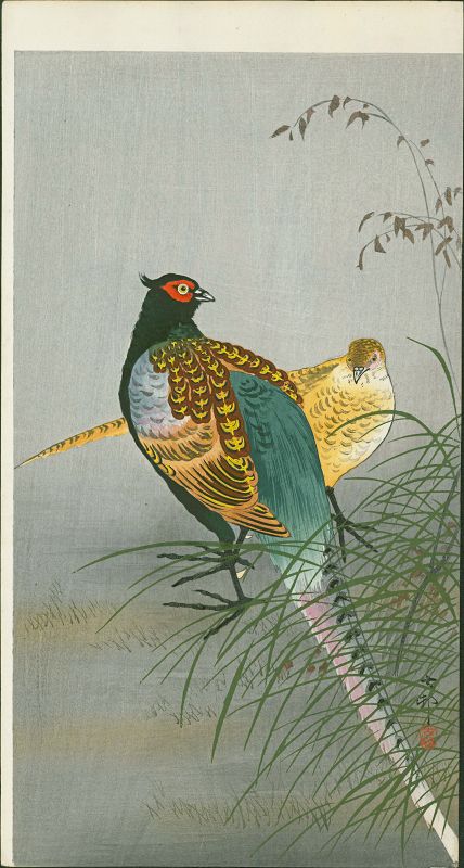 Ohara Koson Japanese Woodblock Print - Pheasants Between Grasses SOLD