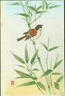 Ashikaga Shizuo Japanese Woodblock Print - Sparrow on Bamboo