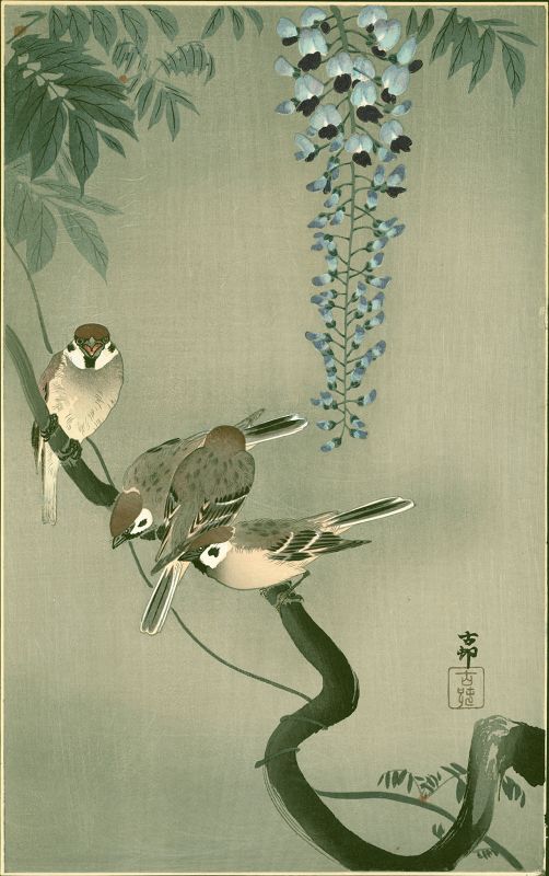 Ohara Koson Japanese Woodblock Print - Sparrows and Wisteria SOLD