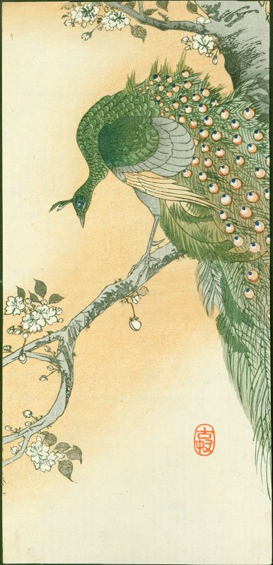Ohara Koson Woodblock Print - Peafowl on Flowering Cherry SOLD