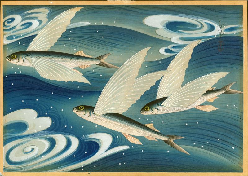 Ohno Bakufu Woodblock Print - Flying Fish (Tobiuo) - Ltd. Ed. SOLD
