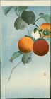 Ohara Koson Japanese Woodblock Print - Nuthatcher Atop Persimmon SOLD