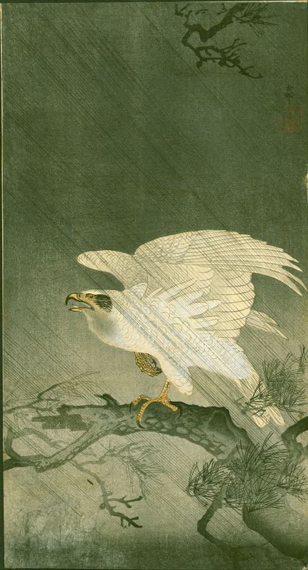Ohara Koson Woodblock Print -  White Eagle On Branch in Storm SOLD