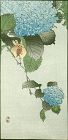 Kono Bairei - Ohara Koson Woodblock Print - Sparrow on Hortensia1910