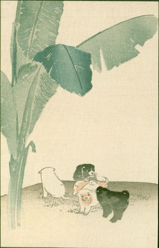 Japanese Woodblock Print - Puppies and Banana - 1910 Matsumoto