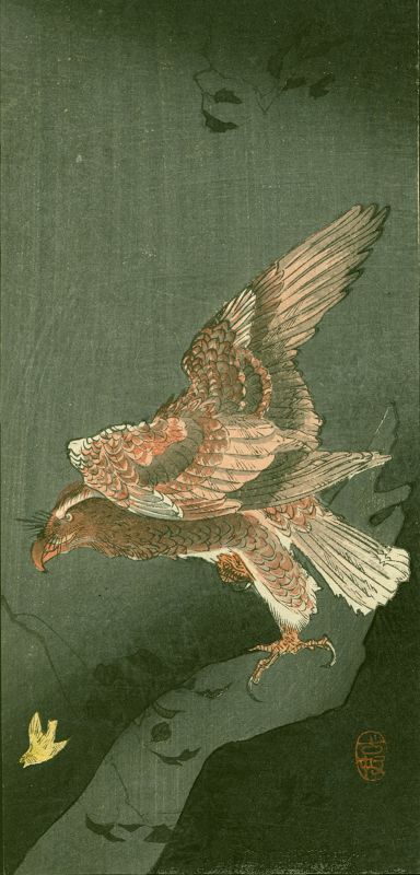 Ohara Koson Woodblock Print - Eagle Watching Small Bird SOLD