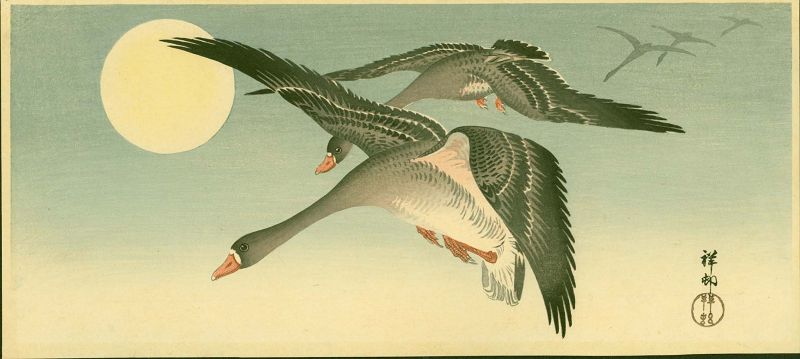 Ohara Koson Woodblock Print- White-Fronted Geese Flying With Full Moon