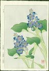 Shodo Kawarazaki Japanese Woodblock Print - Water Hyacinth