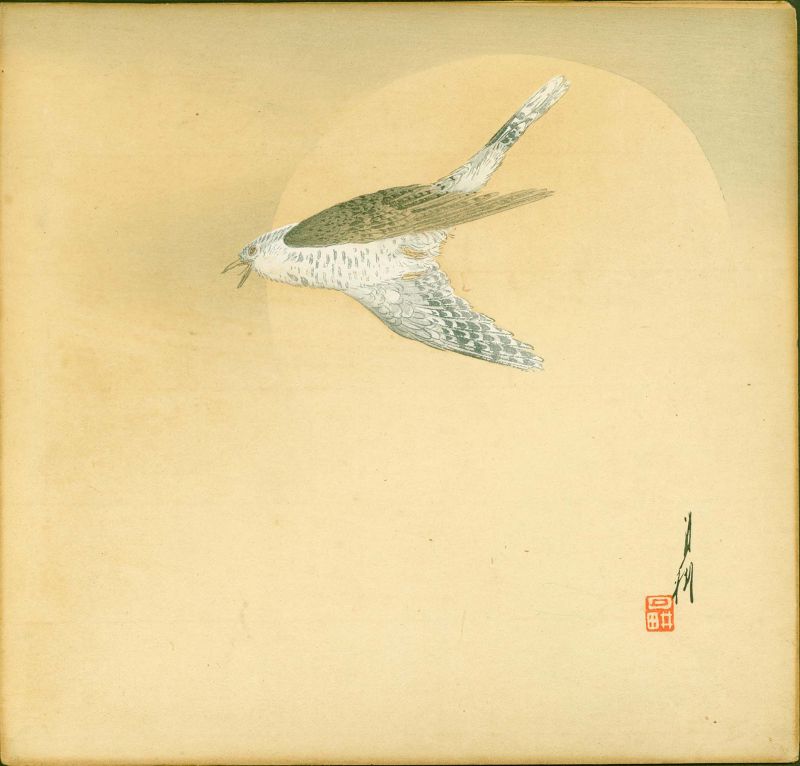 Ogata Gekko - Cuckoo with Full Moon Japanese Woodblock Print 1900 1st