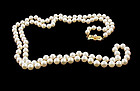 Mikimoto 32” Opera Length 6x6.5mm Pearl Strand Necklace