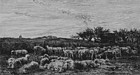 Charles F. Daubigny, Etching, "The Large Sheepfold"