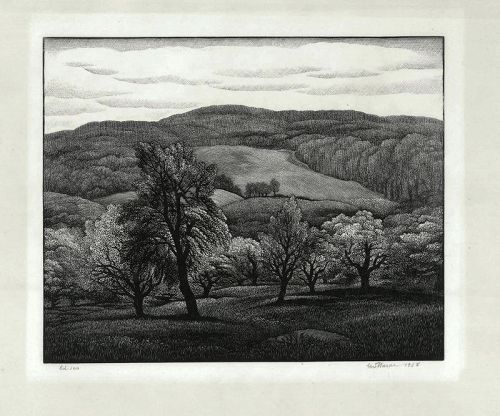 Thomas Nason wood engraving, Spring in the Poconos