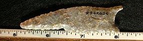 Dalton 2-7/8"long Fossiliferous Chert