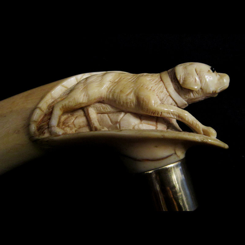 Ivory Handle Dog Walking Stick