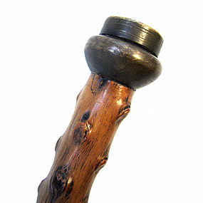 Doctor's Walking Stick, Professional Cane
