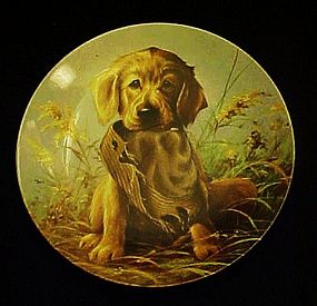 Caught in the act  Field puppies golden retriever plate