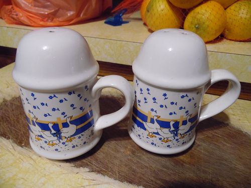 Trenditions white geese range shakers with blue band and flowers