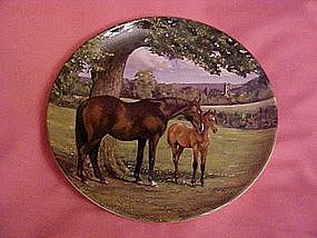 English Thoroughbred, Spode, By Susie Whitcomb