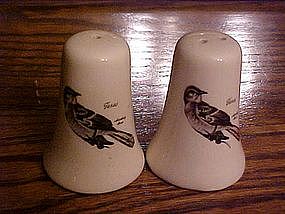 Souvenir salt and pepper shakers with Mocking birds