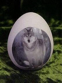 Womack's Collectible porcelain egg with timber wolf