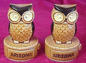 Retro owl shakers, souvenir of Arizona