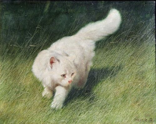 White Cat in the Tall Grass by Arthur Heyer