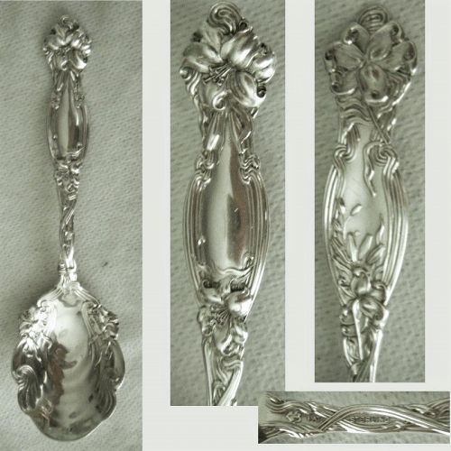 Old International 'Frontenac' Art Nouveau Sterling Silver Sugar Spoon