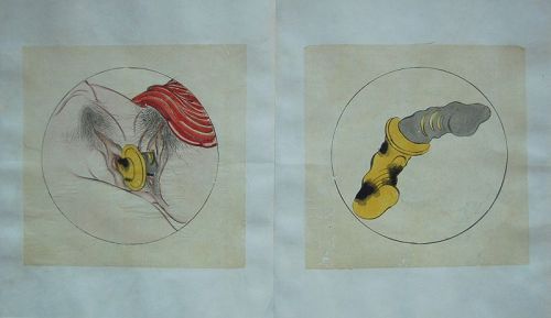 Shunga erotic drawings, female pleasures, ink & colors on paper, Japan
