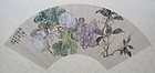 Chinese Fan Painting of Flowers and Fruits